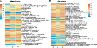 Metabolite Profiling and Transcriptome Analyses Provide Insight Into Phenolic and Flavonoid Biosynthesis in the Nutshell of Macadamia Ternifolia